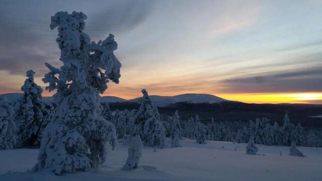 Гостевой дом Kuerkaltio Holiday Village Экясломполо-16